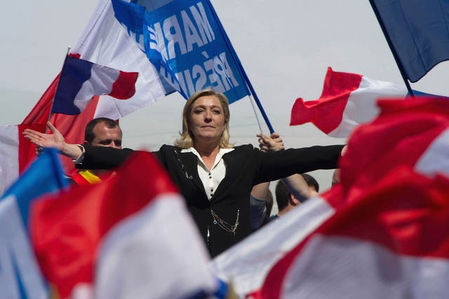 Flagging support: Marine Le Pen addresses a Front National rally in Paris