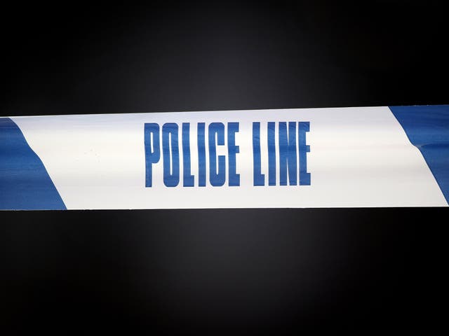 Thin blue lines: do crime-fiction novels tell us something about the human condition?