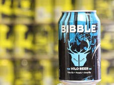 10 best canned craft beers