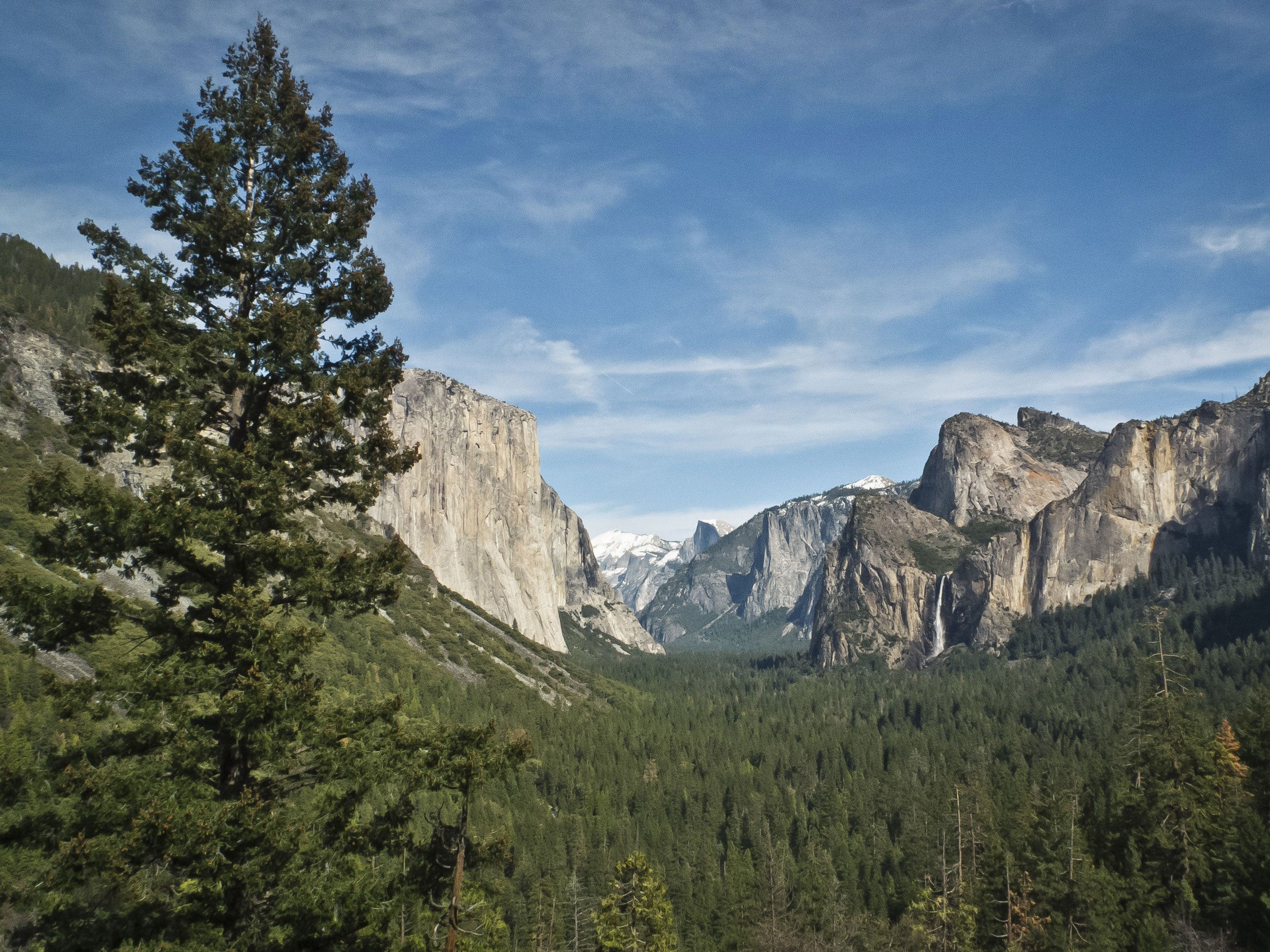 The child was camping in Yosemite National Park when he contracted the disease