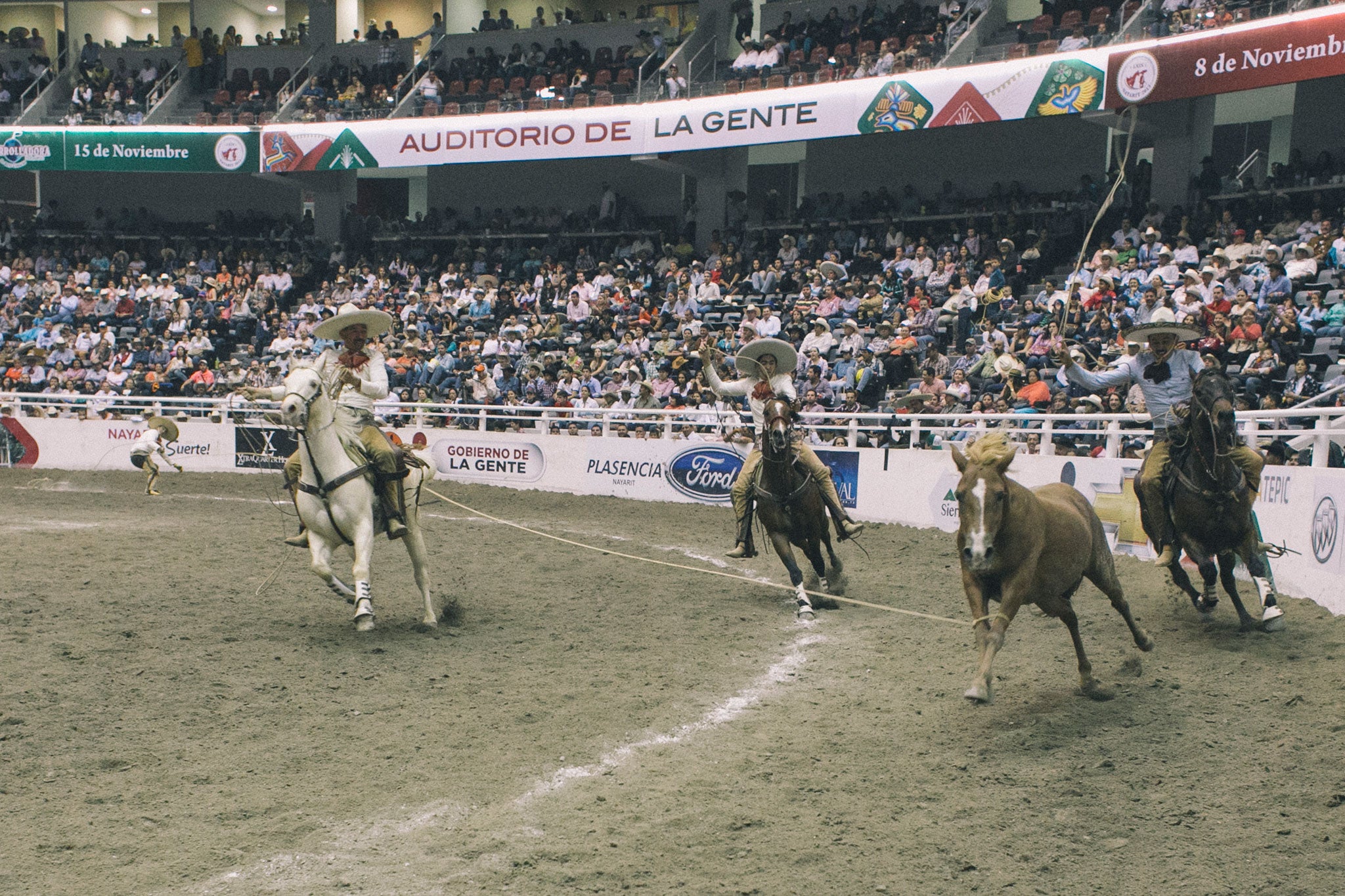 Photographer Steve Howse captures the machismo of Mexico's charreada ...