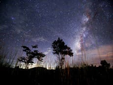 How, where and when to see the annual astronomical marvel