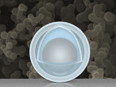 Nanoparticles with aluminium ‘yolks’ could enhance the life-span