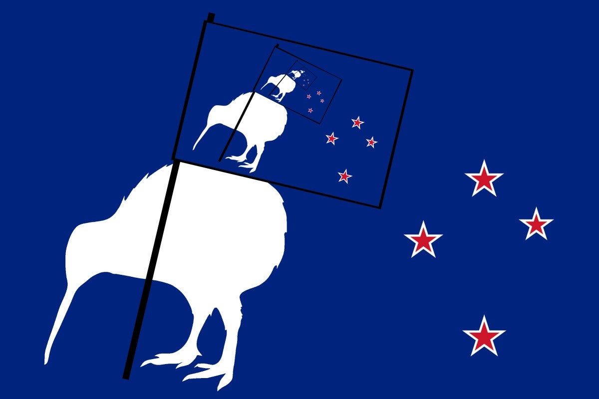 Flag-bearing kiwi. "It represents kiwis, stars, and flags."