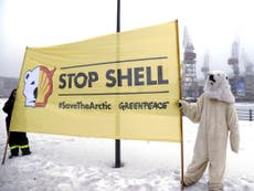 Arctic drilling plans 'risky for Shell's reputation and profits'