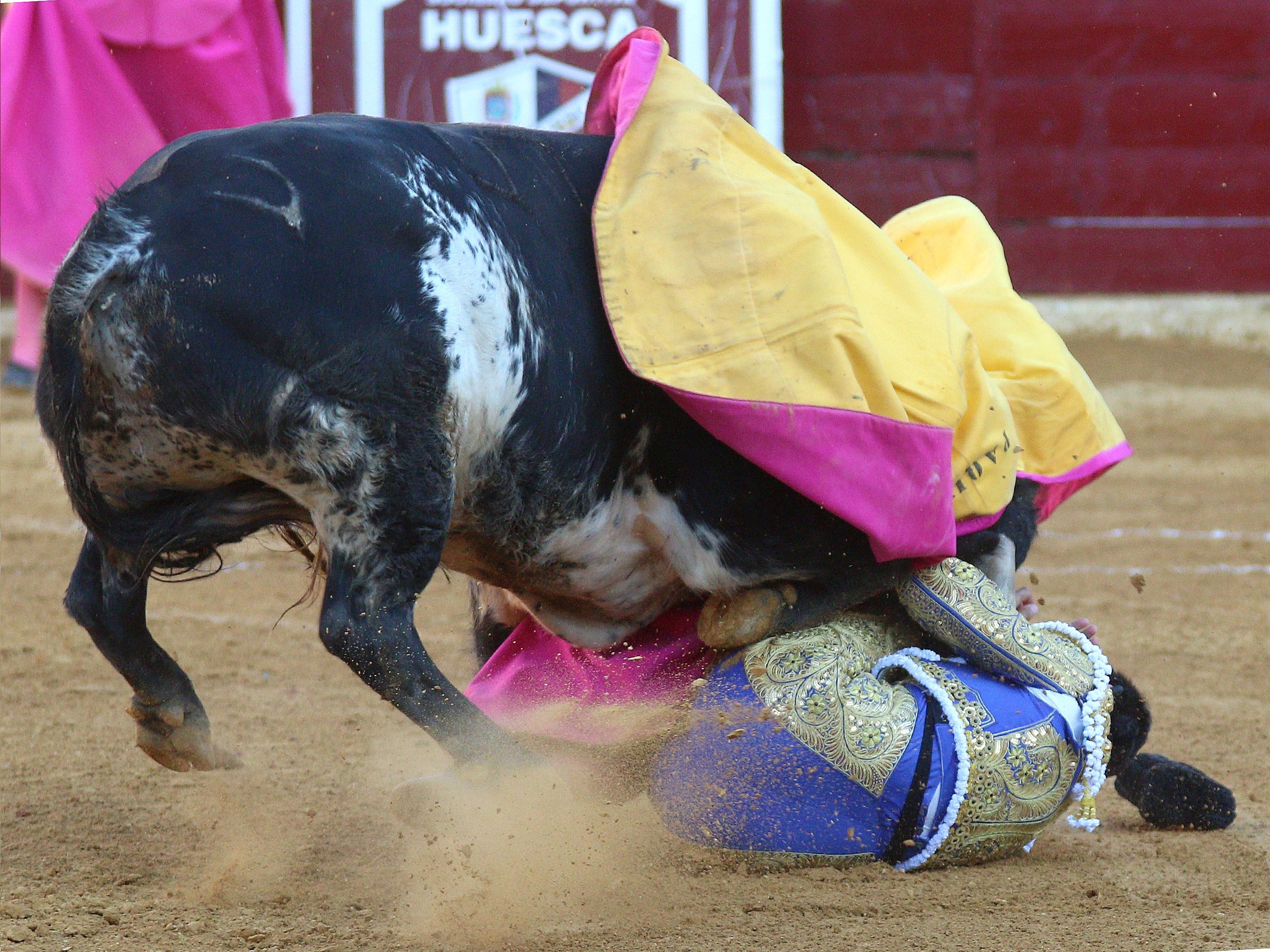 The horn missed Mr Rivera Ordóñez’s vital organs (Getty)