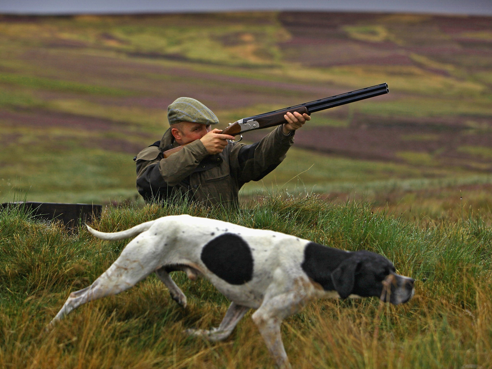 The grouse shooting industry is big business (Getty)