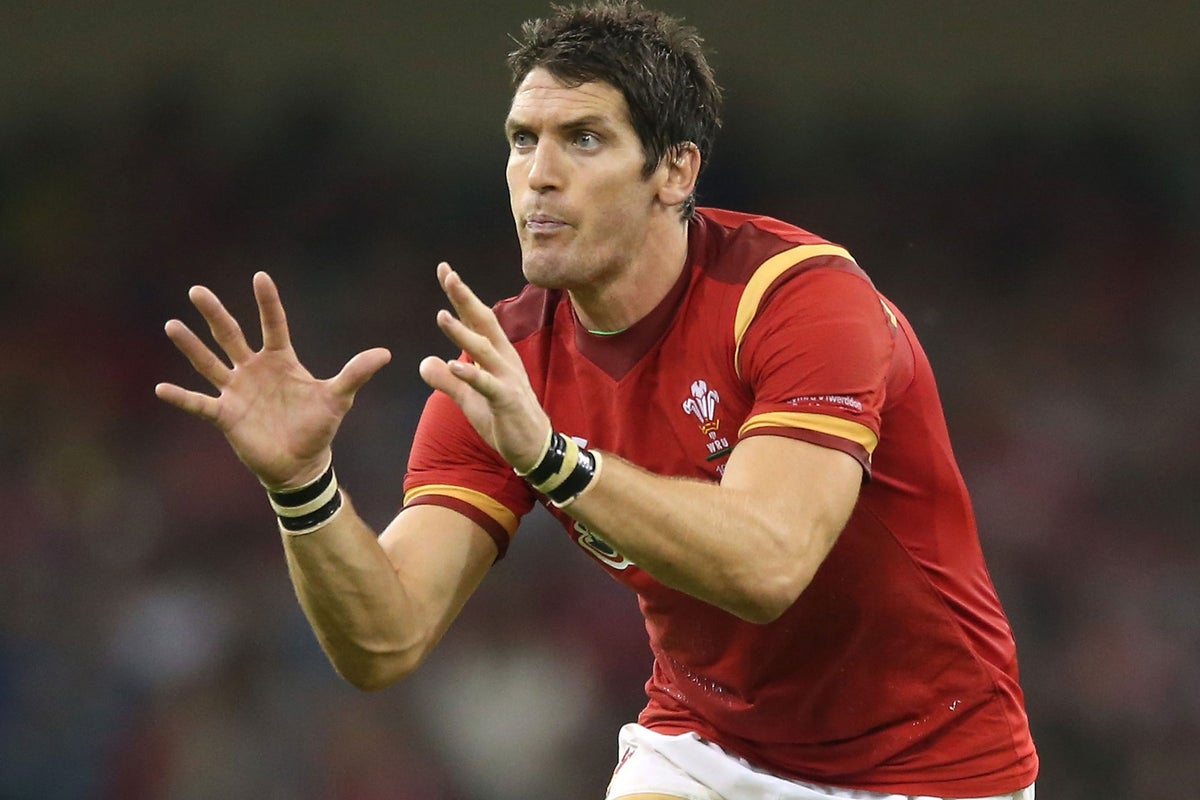 Rugby World Cup 2015: James Hook, Mike Phillips and Richard Hibbard ...