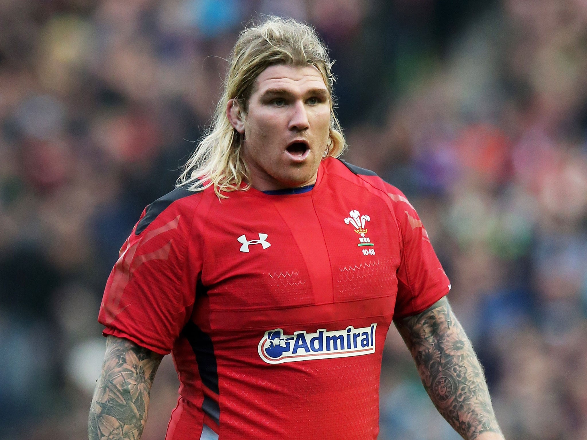 Richard Hibbard