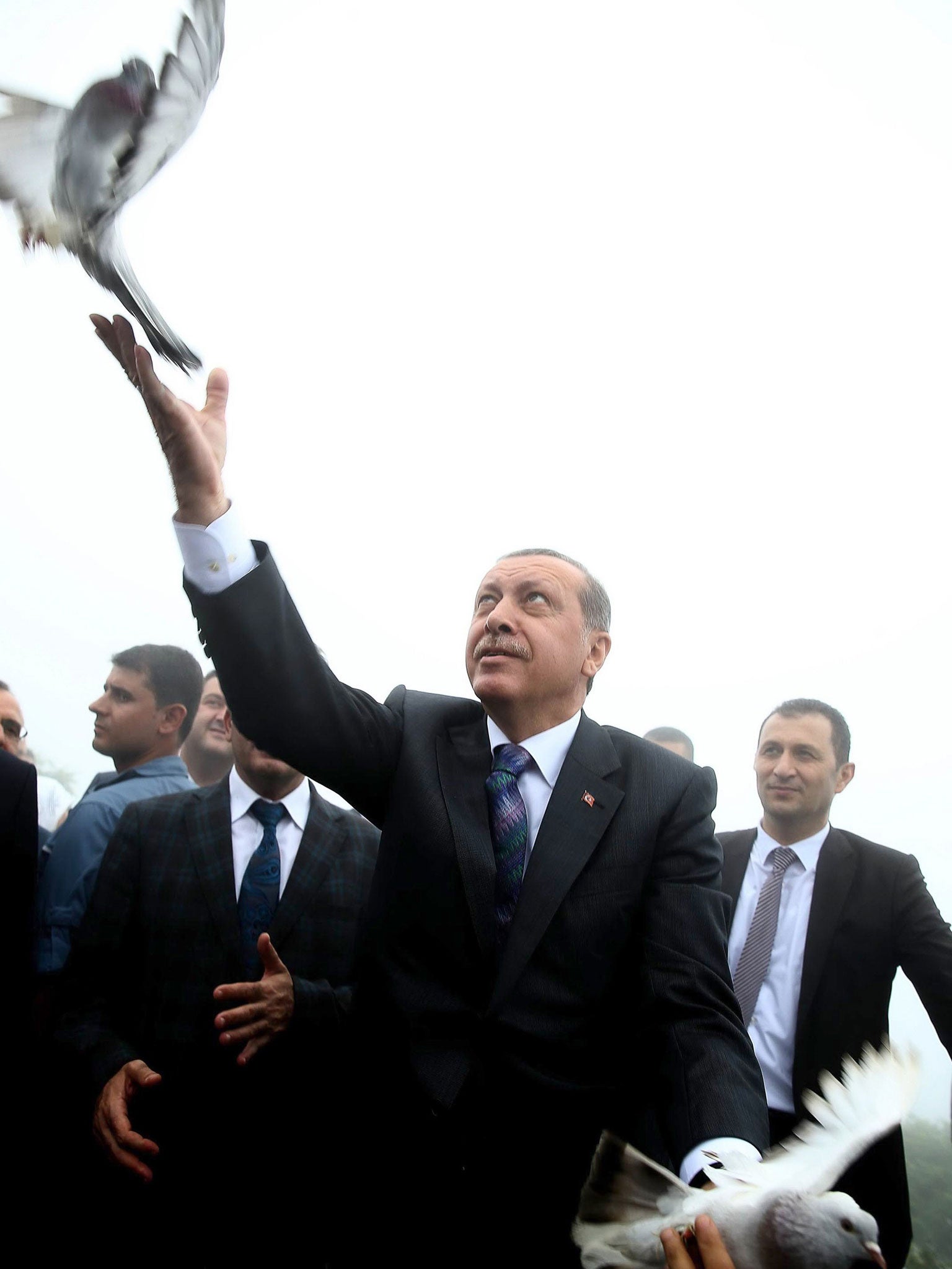 Erdogan gives the birds a helping hand (AFP)