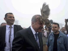 Bird lands on Turkish President's head