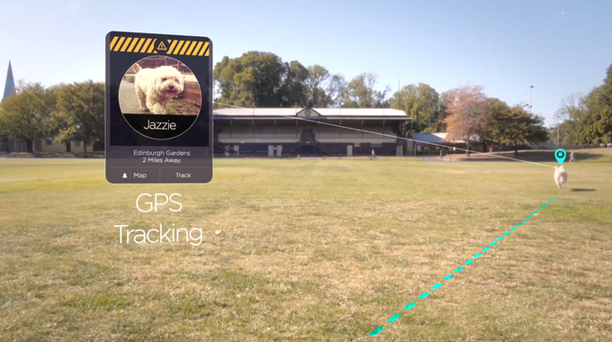 Built-in GPS helps owners keep track of their dog's location