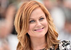 Amy Poehler takes on red carpet sexism