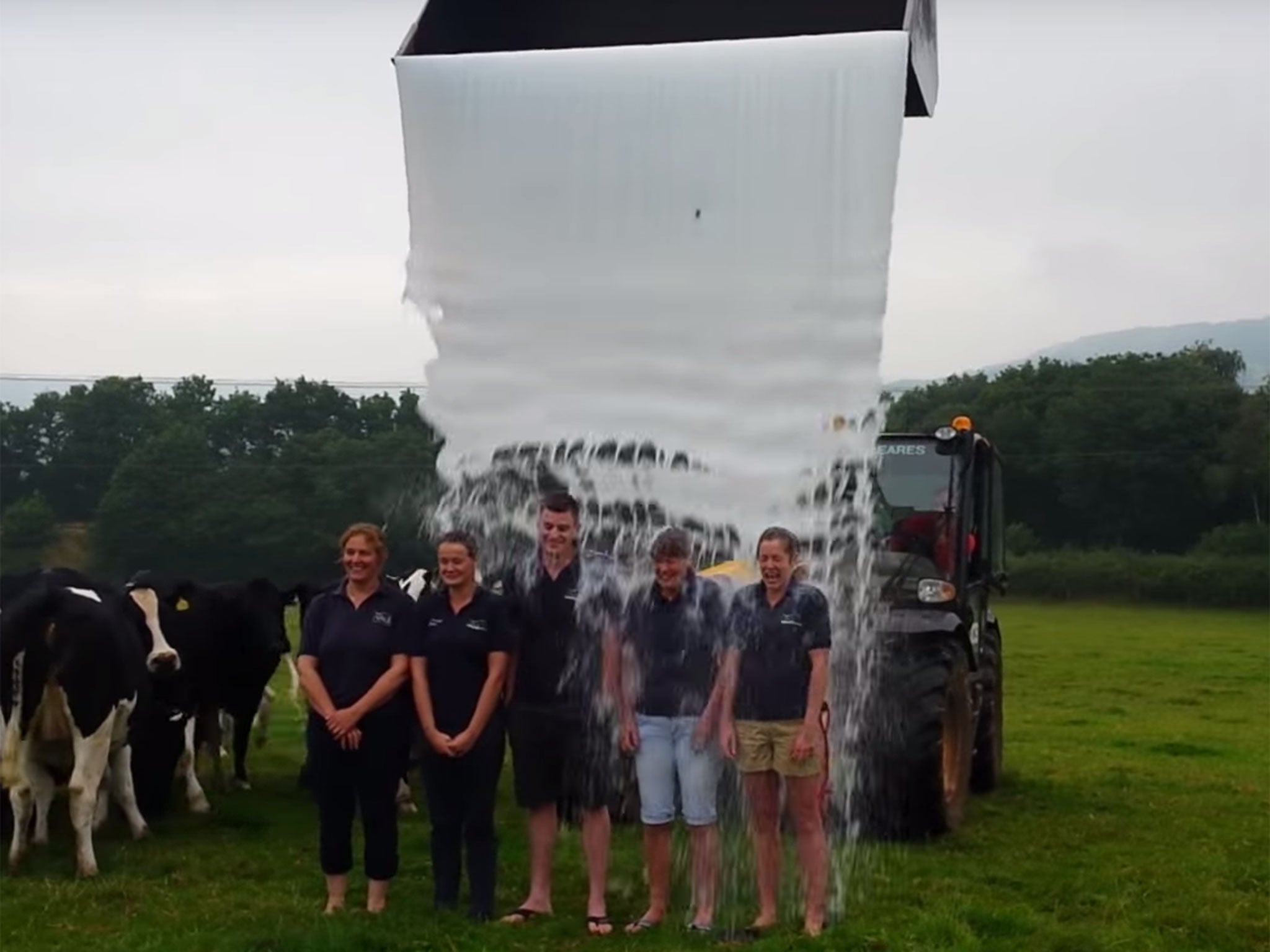 The Vale FCN take part in a milk bucket challenge