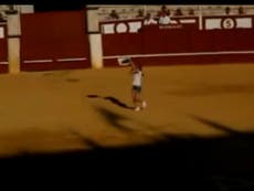 Woman jumps into bull fighting ring to comfort dying bull