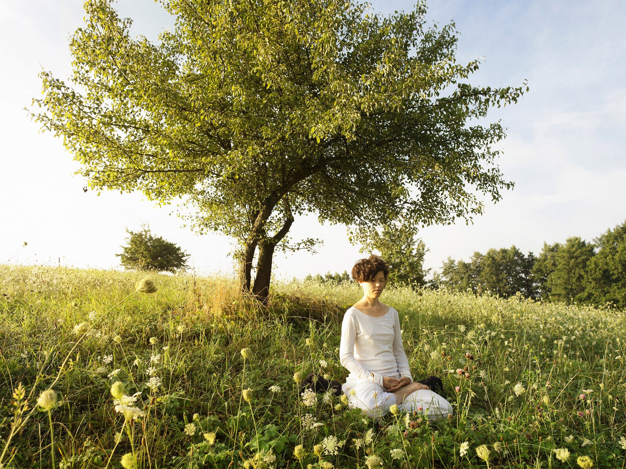 Peace movement: more than anything, Vipassana meditation is about training the brain to quieten down – to not react on impulse alone