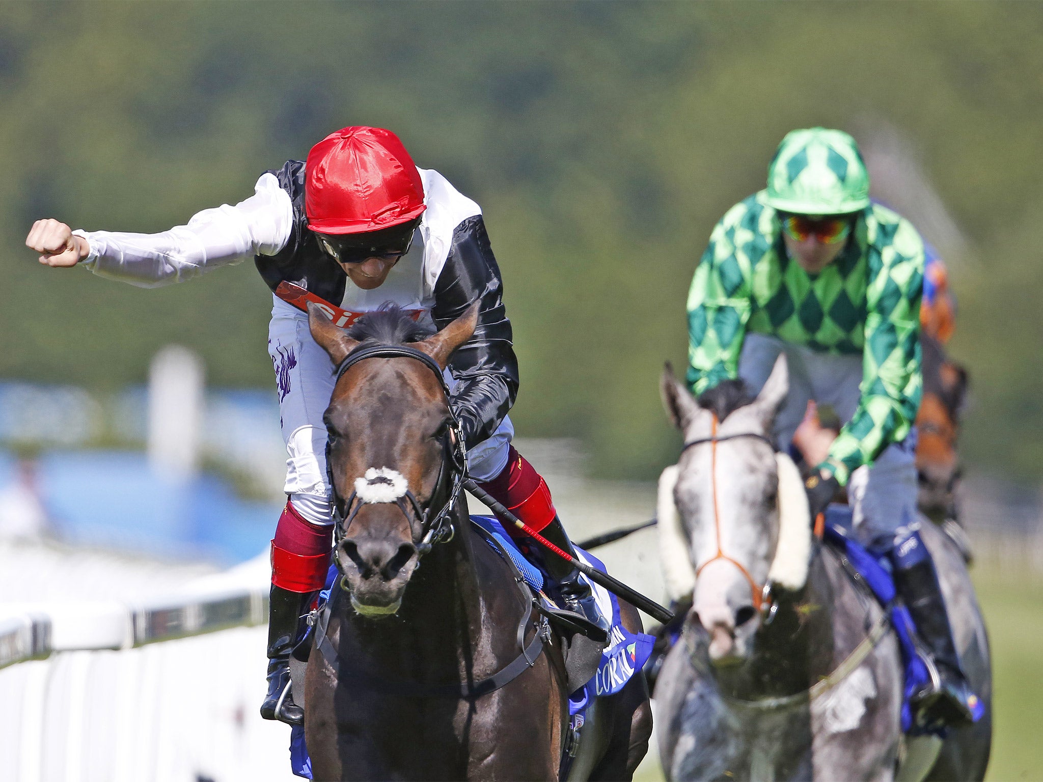 The Grey Gatsby (right), runner-up to Golden Horn in the Eclipse last month, renews rivalry in York’s International on Wednesday