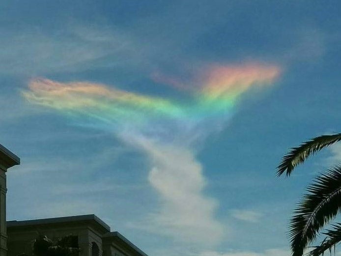 The display, known as circumhorizontal arcs, occurs when light hits tiny ice crystals in high-level cirrus clouds