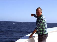Whale interrupts presenter with spot-on comic timing