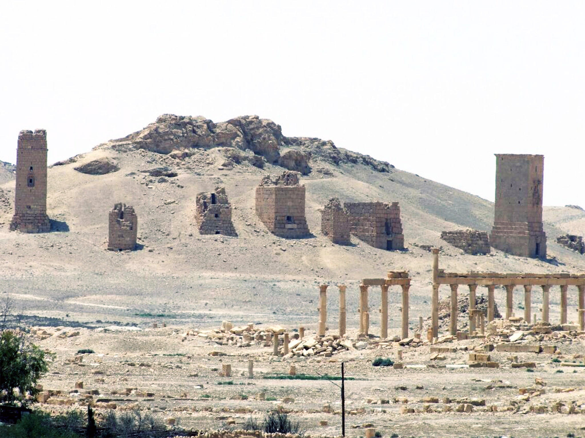 The ancient Roman city of Palmyra, pictured earlier this summer