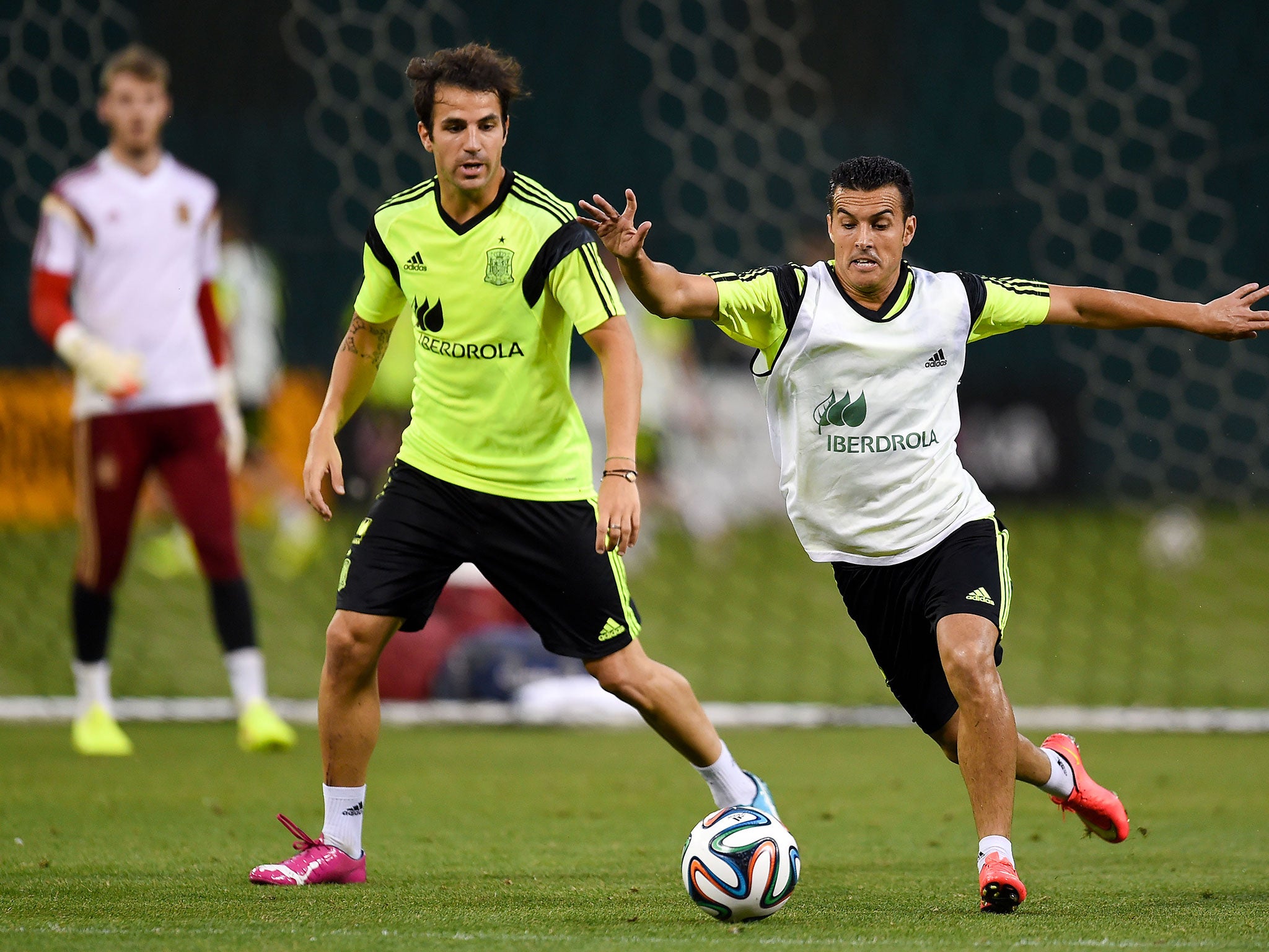 Cesc Fabregas and Pedro in training for Spain
