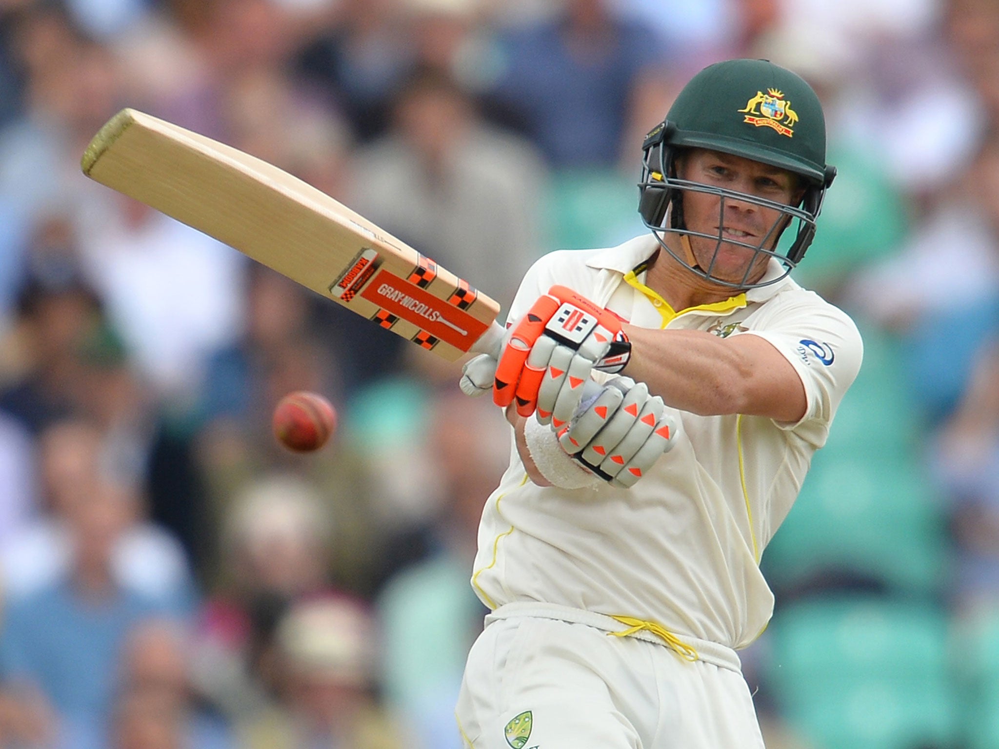 David Warner on his way to a half-century in the first innings