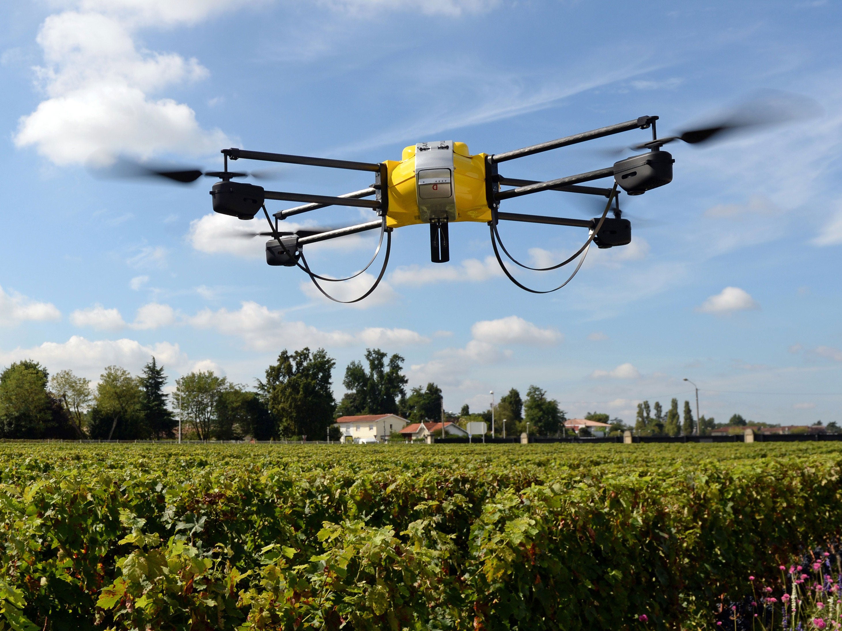 French winemaker Bernard Magrez uses a drone with an infrared camera to determine the optimal maturity of his grapes so he can harvest them at different times