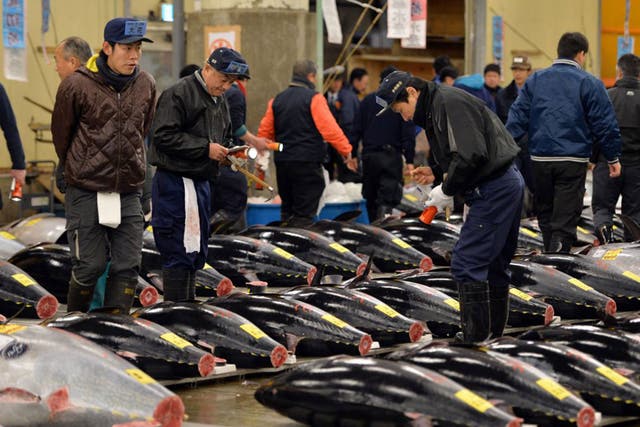 Fishmongers inspect bluefin tunas before the first trading of the new year at Tokyo's Tsukiji fish market