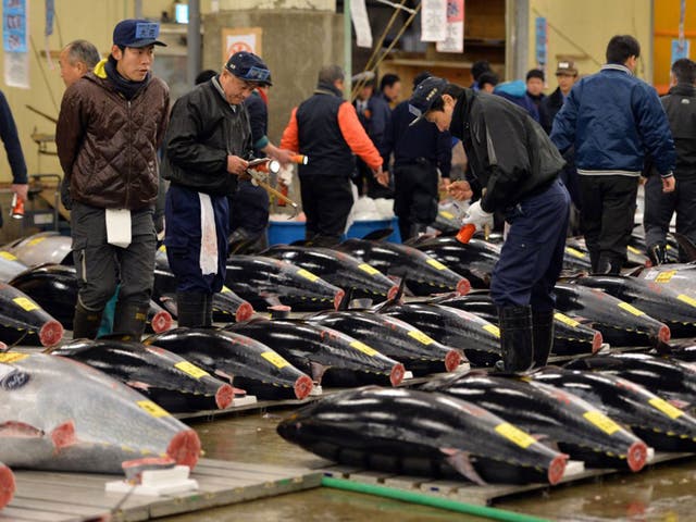 Fishmongers inspect bluefin tunas before the first trading of the new year at Tokyo's Tsukiji fish market
