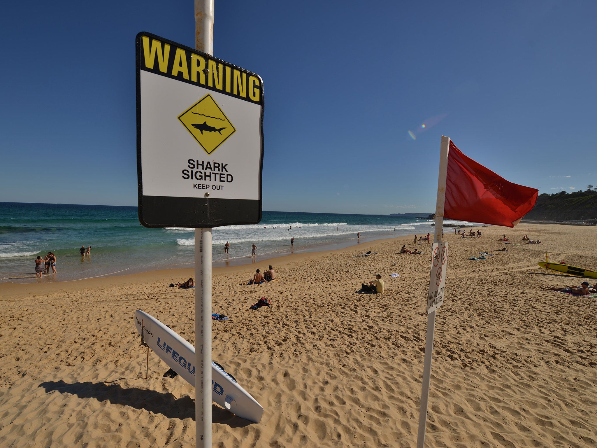 Shark warning signs are seen posted on the beach in the northern New South Wales city of Newcastle