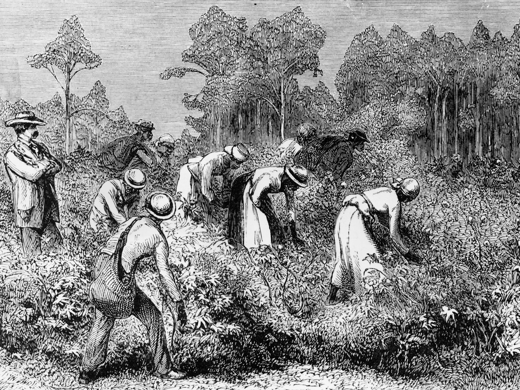 American Slavery in 1600s