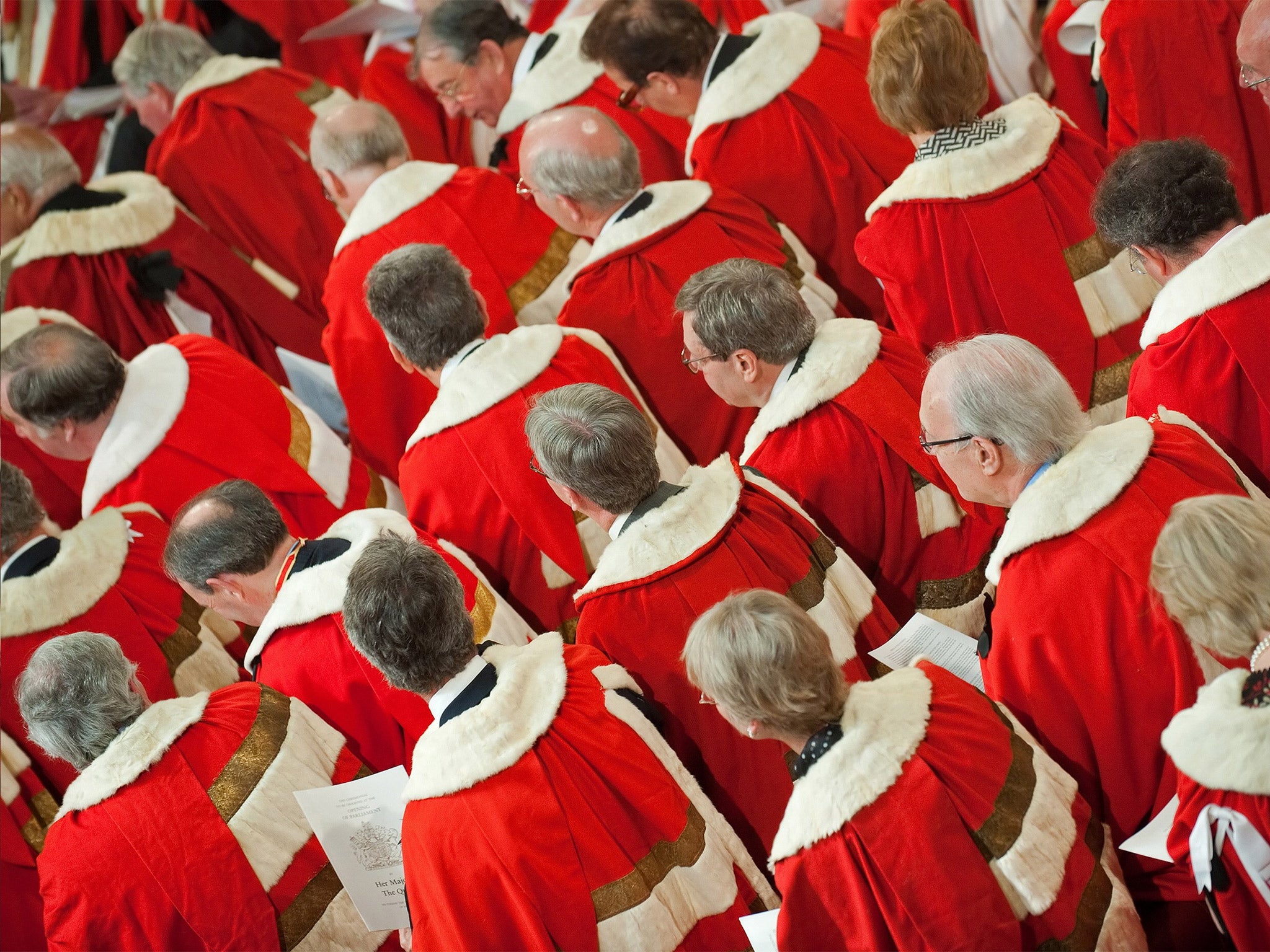 Peers at the state opening of Parliament