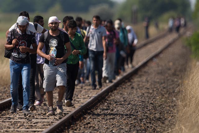 Migrants who have just crossed the border from Serbia into Hungary walk along a railway track that joins the two countries
