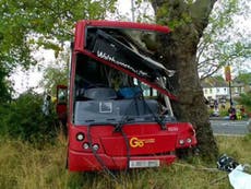 London bus crash: 10 passengers in hospital after driver hits tree