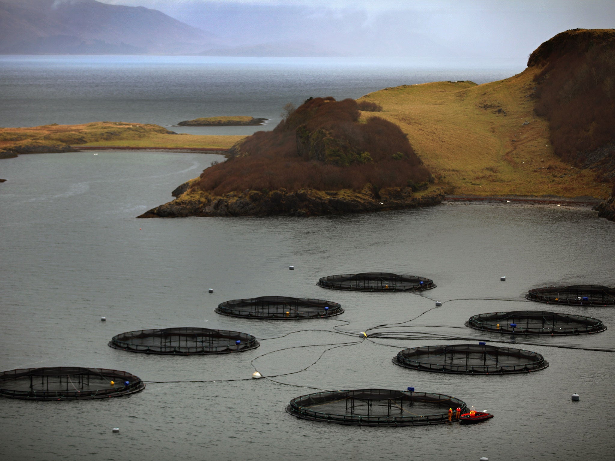 A salmon farm in Oban run by Scottish Sea Farms