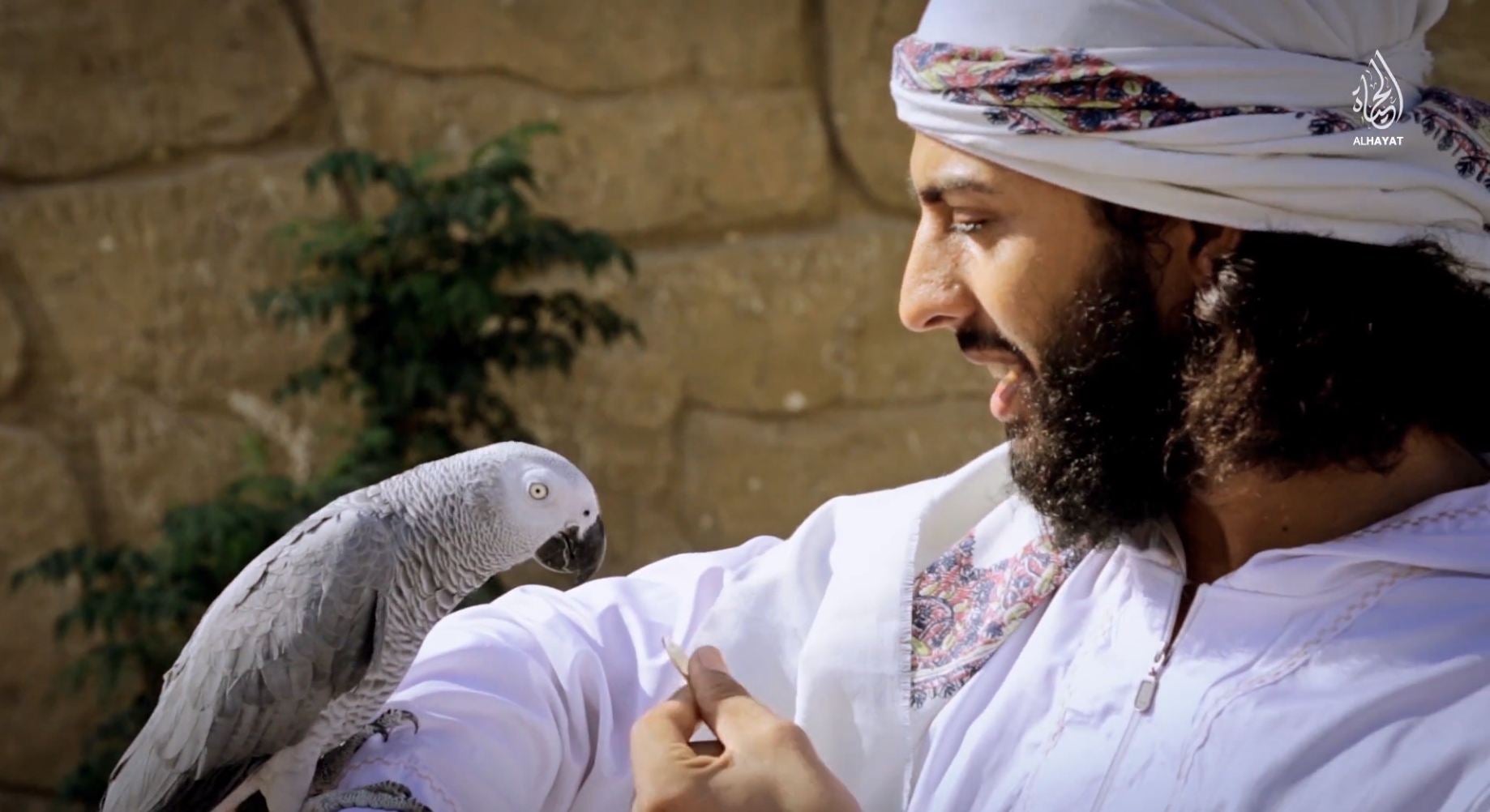 A man shows a bird one of the coins