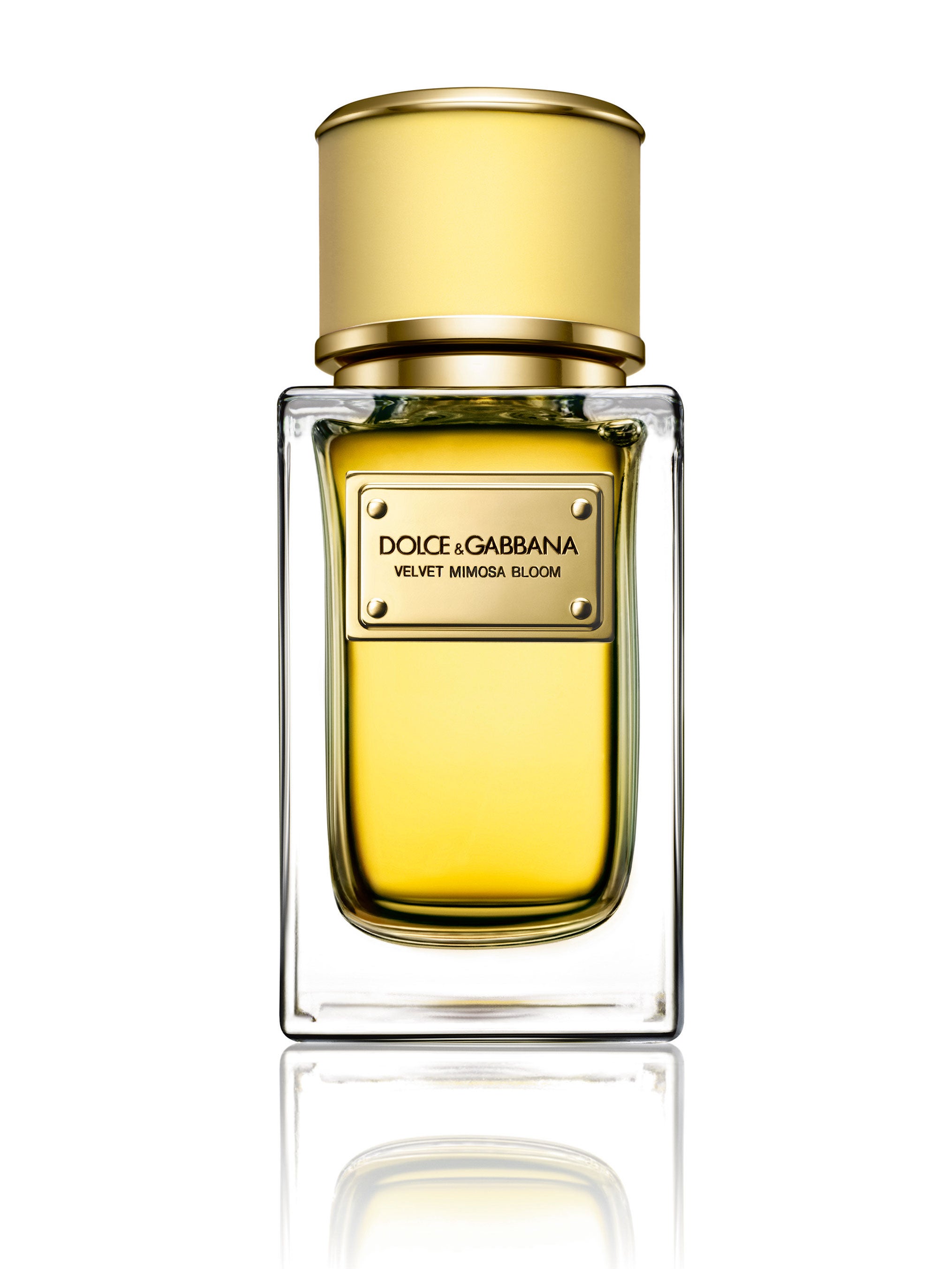 zoologist perfumes discount code