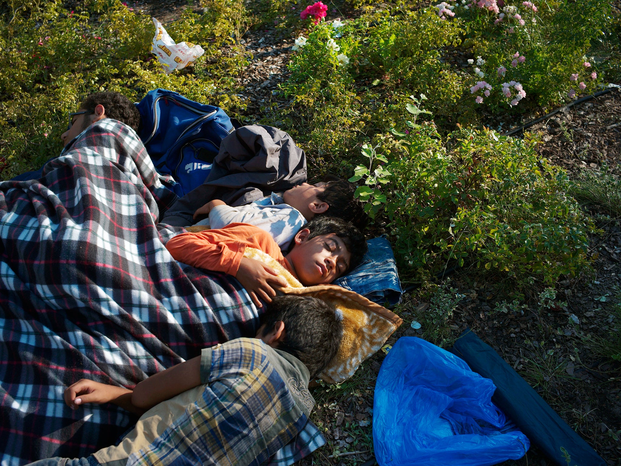 Refugee children sleep in the surrounding green area of the Keleti railway station in Budapest