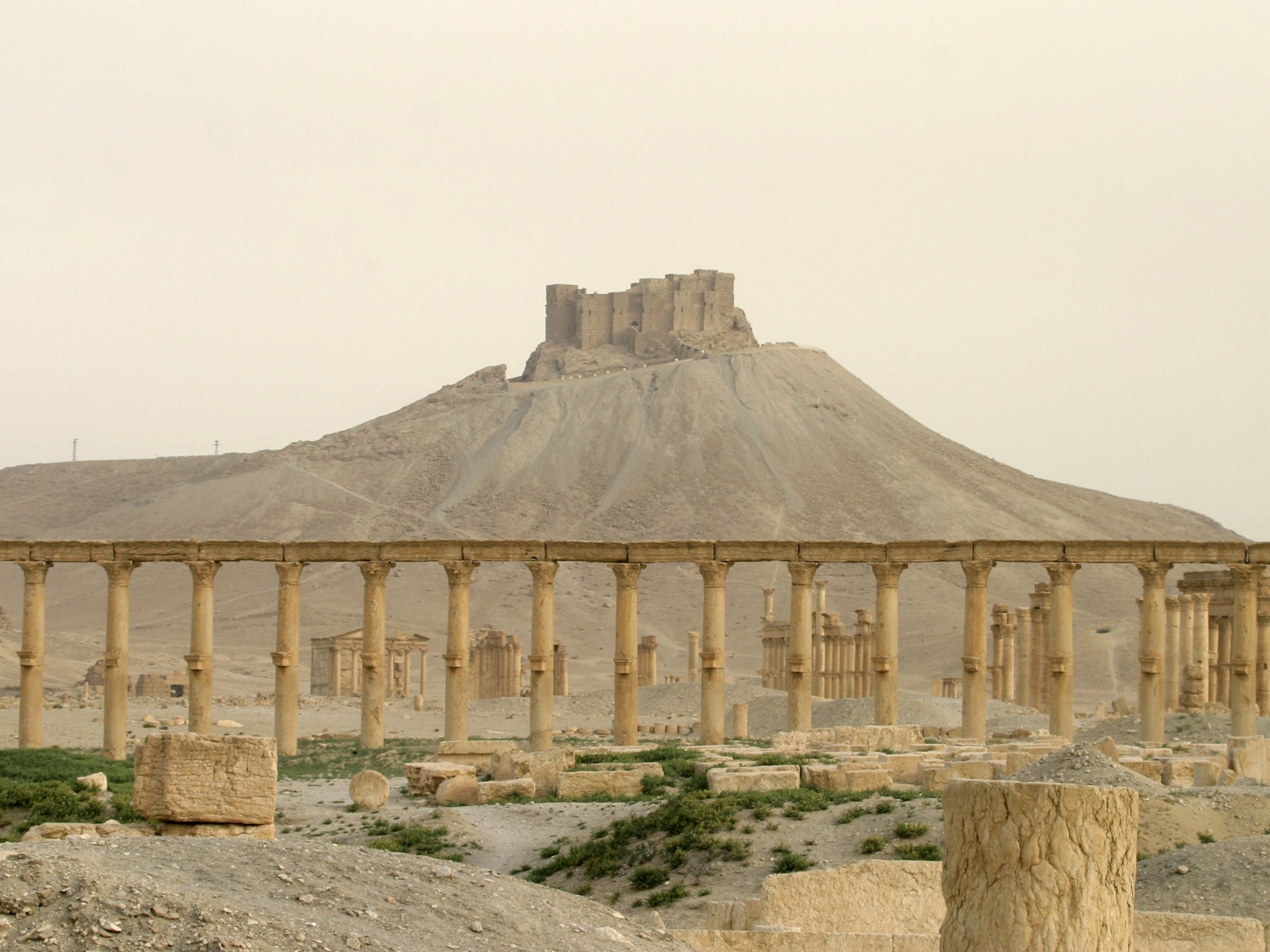 Al-Asaad had worked at Palmyra for more than 50 years