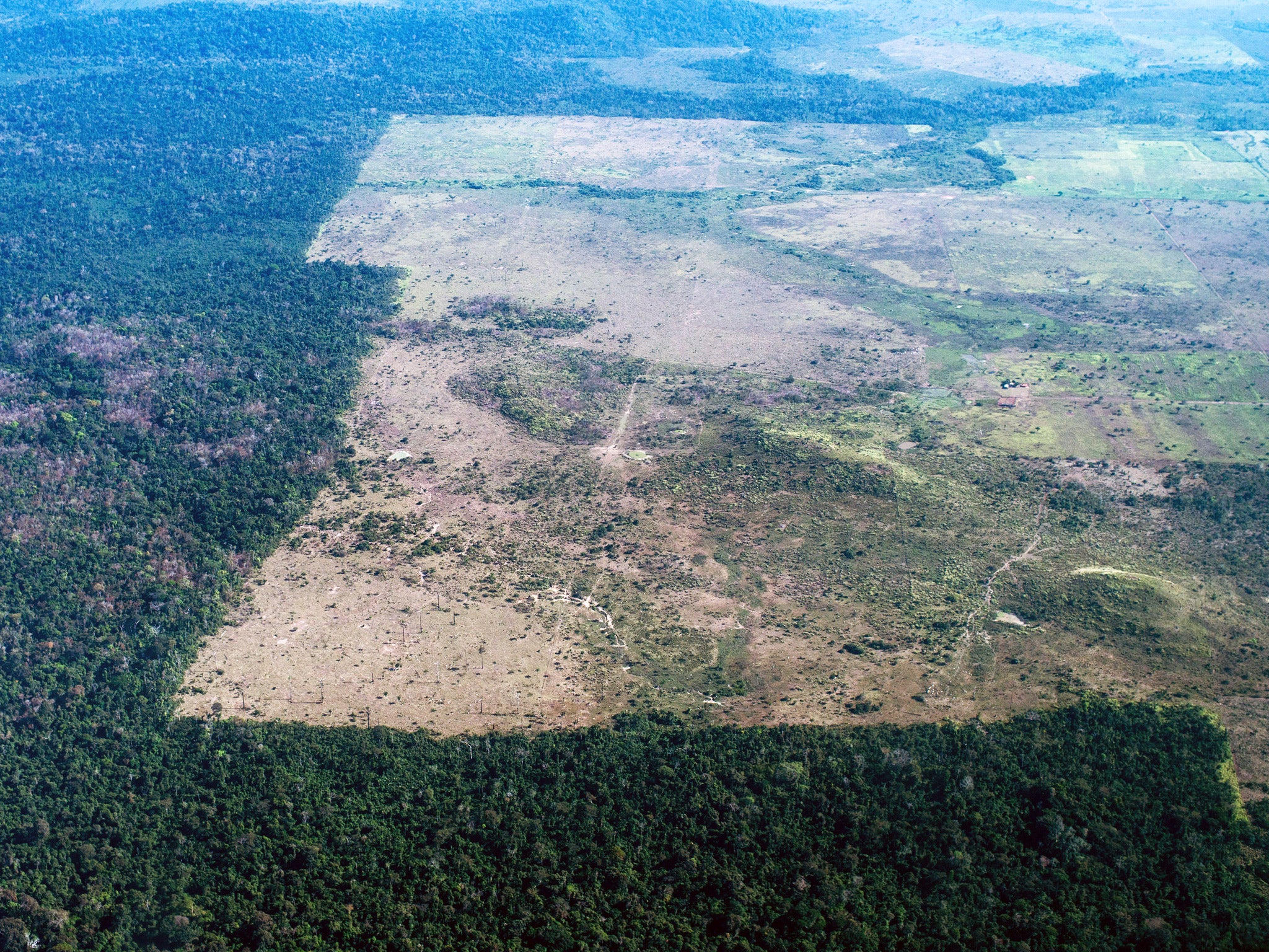 An area of the Amazon devastated by deforestation, in northern Brazil (Getty)