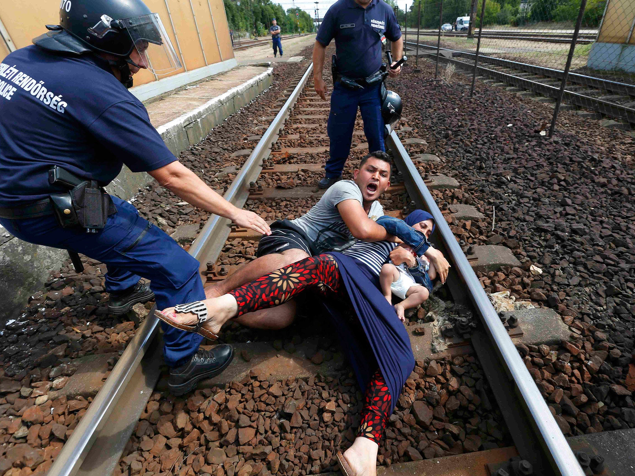 Hungarian policemen seizing a refugee family resisting being sent to a camp in Bicske