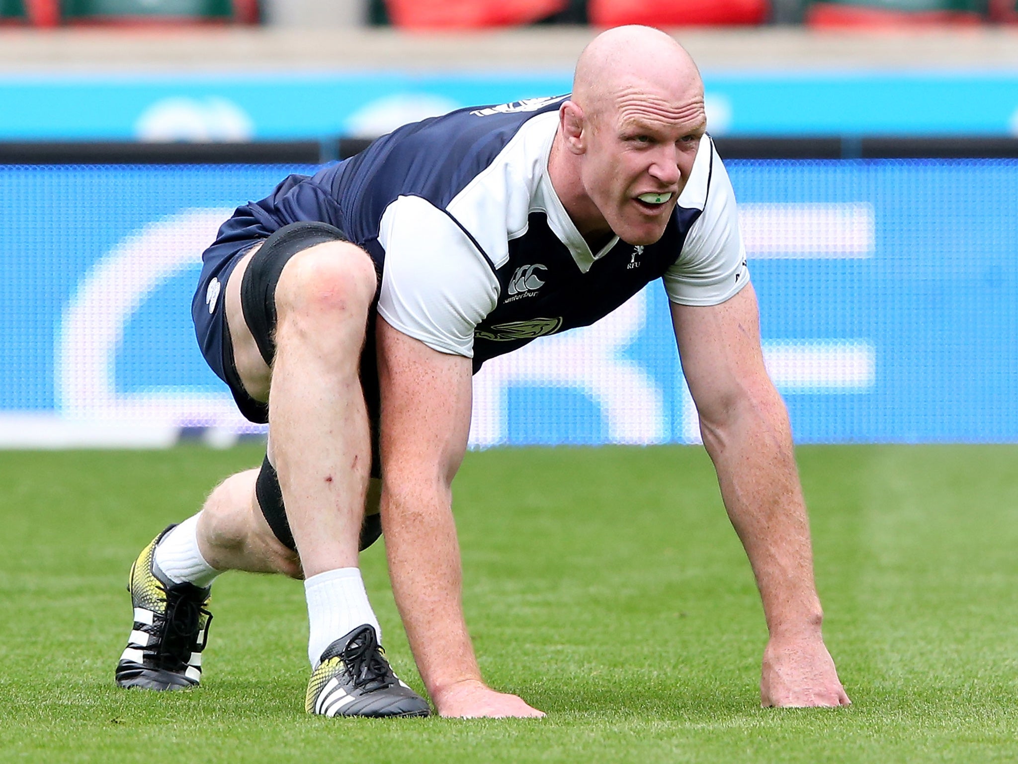 Ireland captain Paul O’Connell