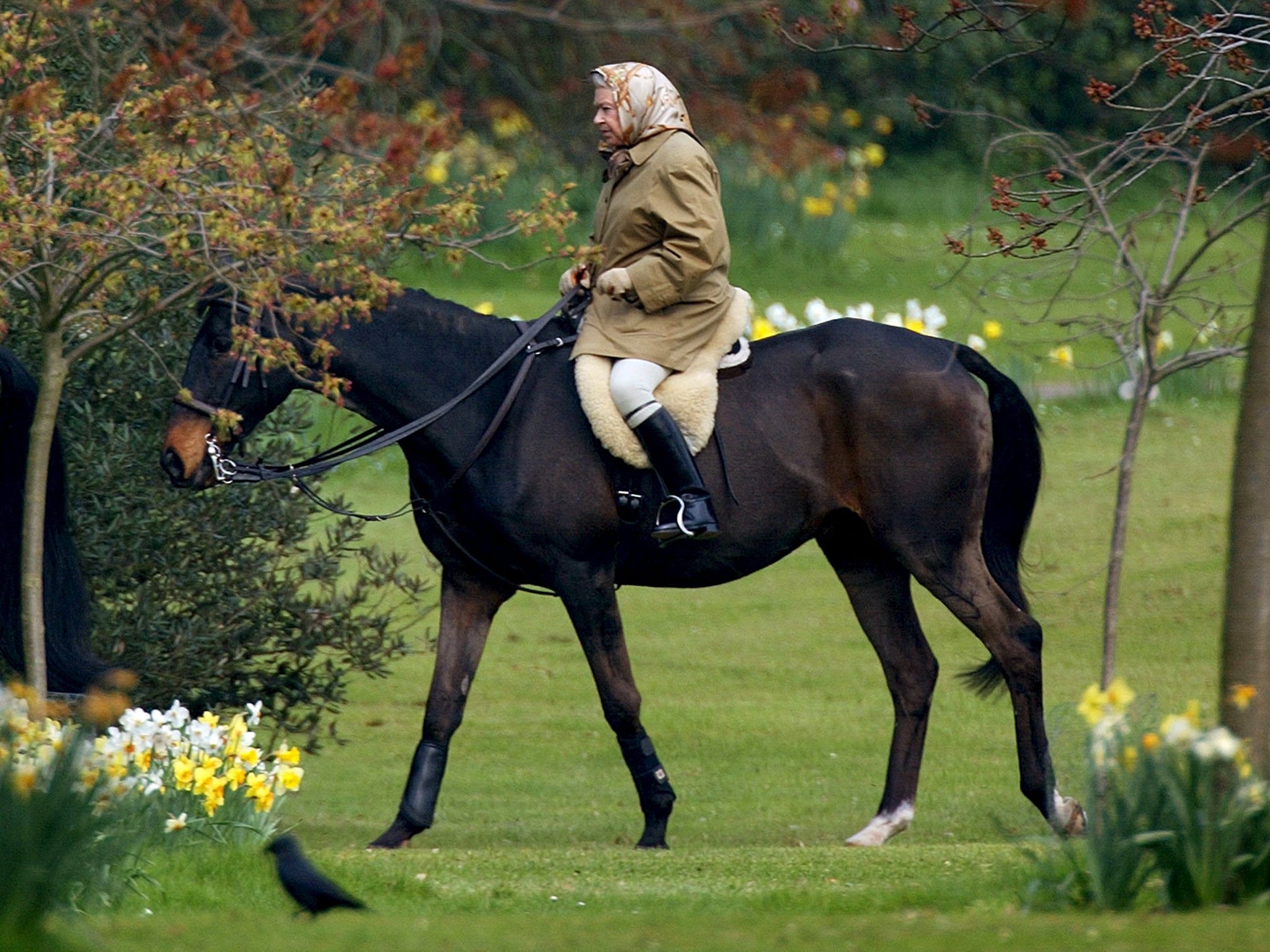 Queen Elizabeth rides her horse in the grounds of Windsor Castle, 2002