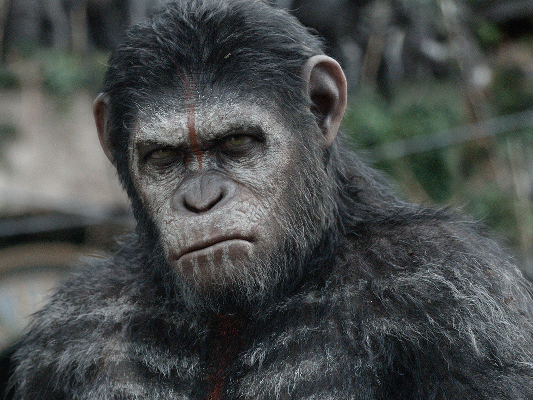 Andy Serkis as Caesar in 'Dawn of the Planet of the Apes'. He used motion capture to create the animal on screen