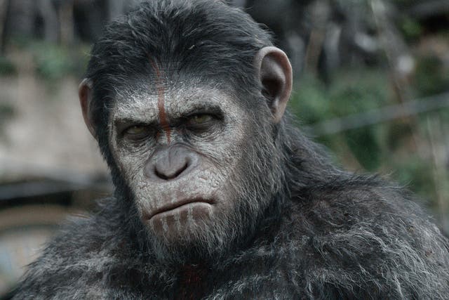 Andy Serkis as Caesar in 'Dawn of the Planet of the Apes'. He used motion capture to create the animal on screen