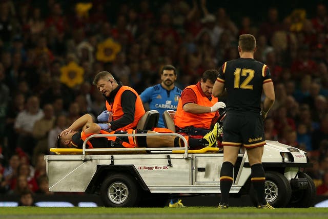 Rhys Webb has been ruled out of the Rugby World Cup