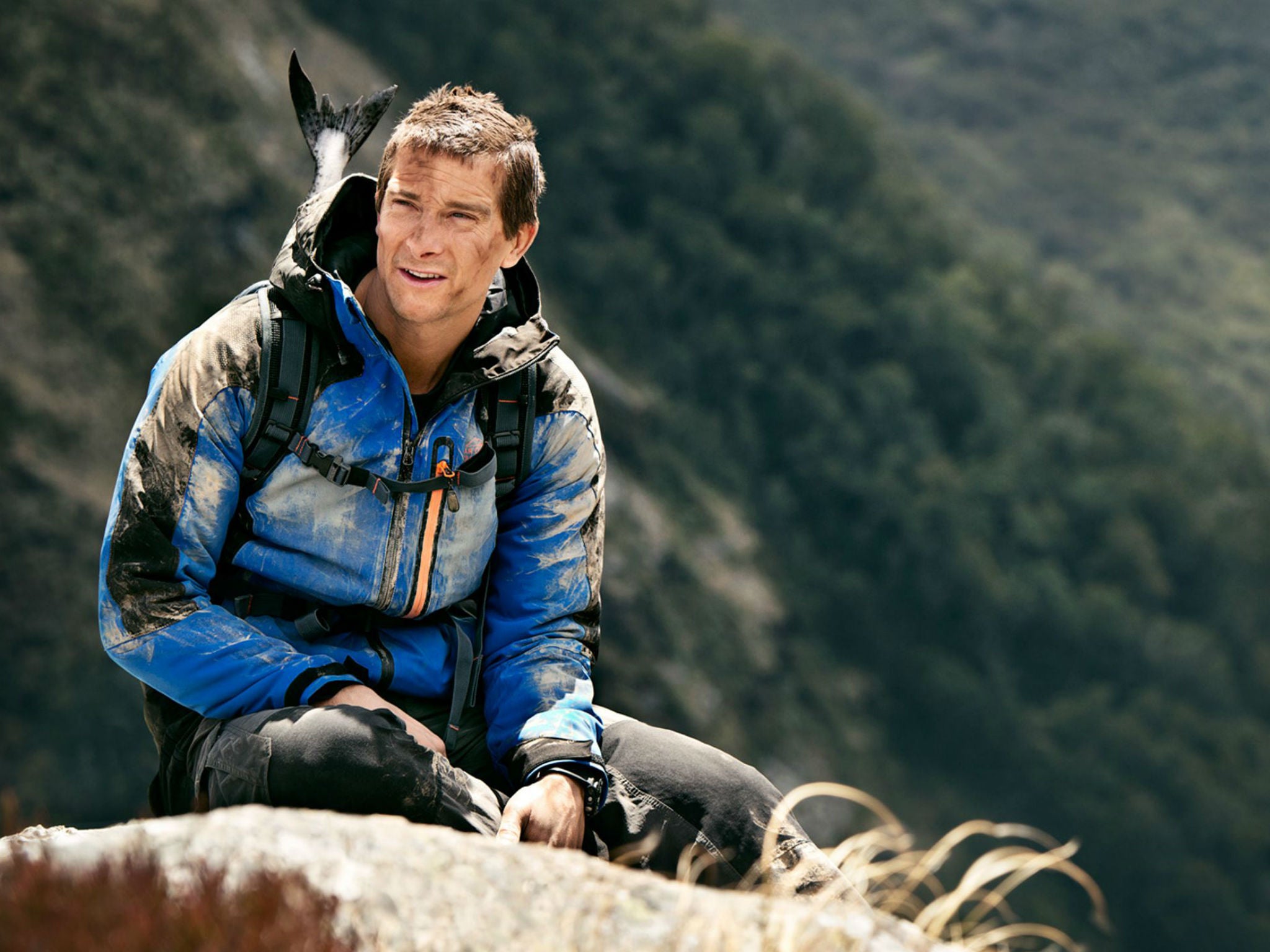 British adventurer and TV presenter Bear Grylls thinks natural history shows need more action