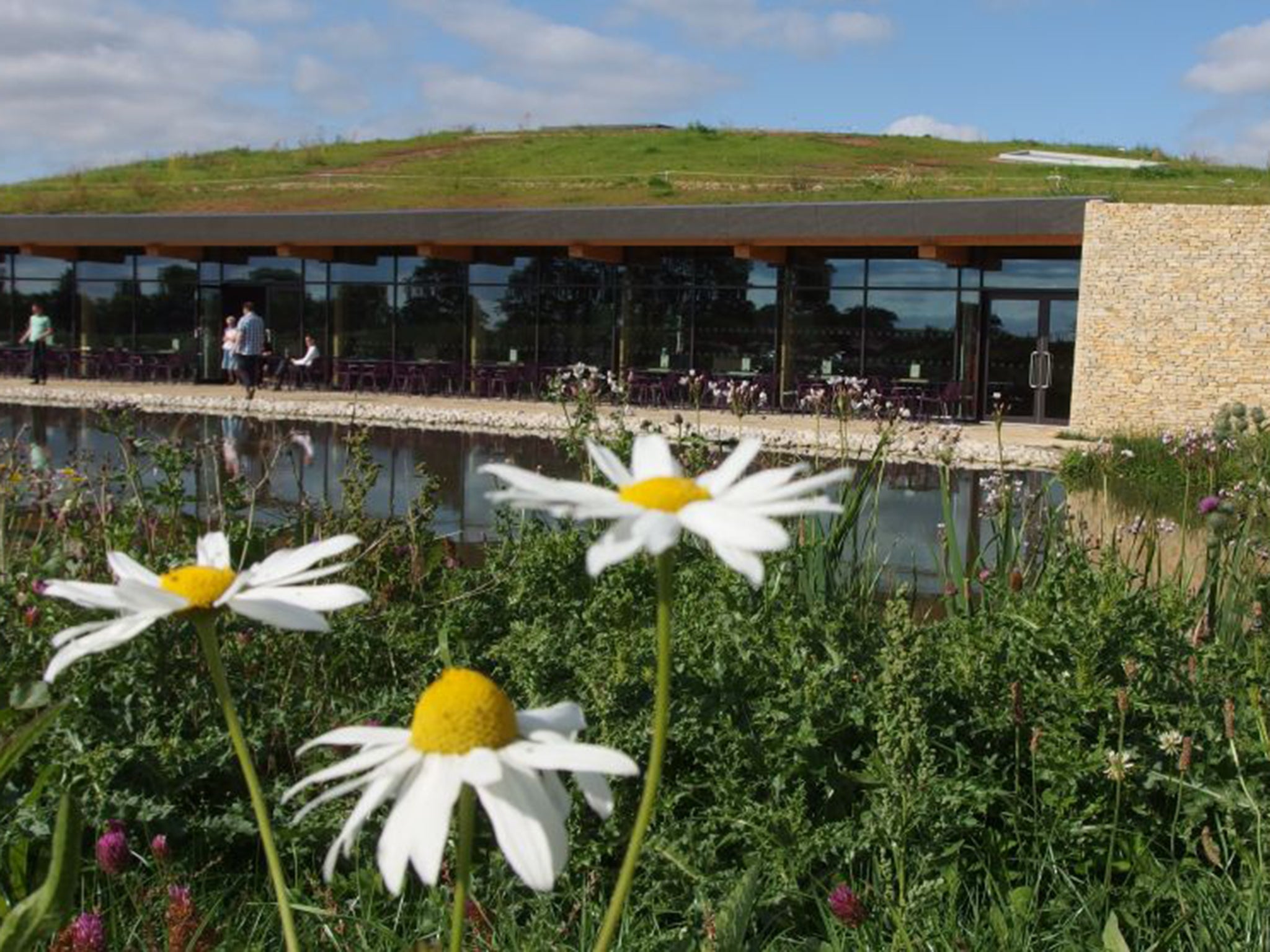 Go green: Gloucester Services' grass roof is patched with solar panels
