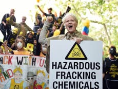 Vivienne Westwood, Mark Ruffalo and Colin Firth lead open letter urging David Cameron to stand up against fracking 