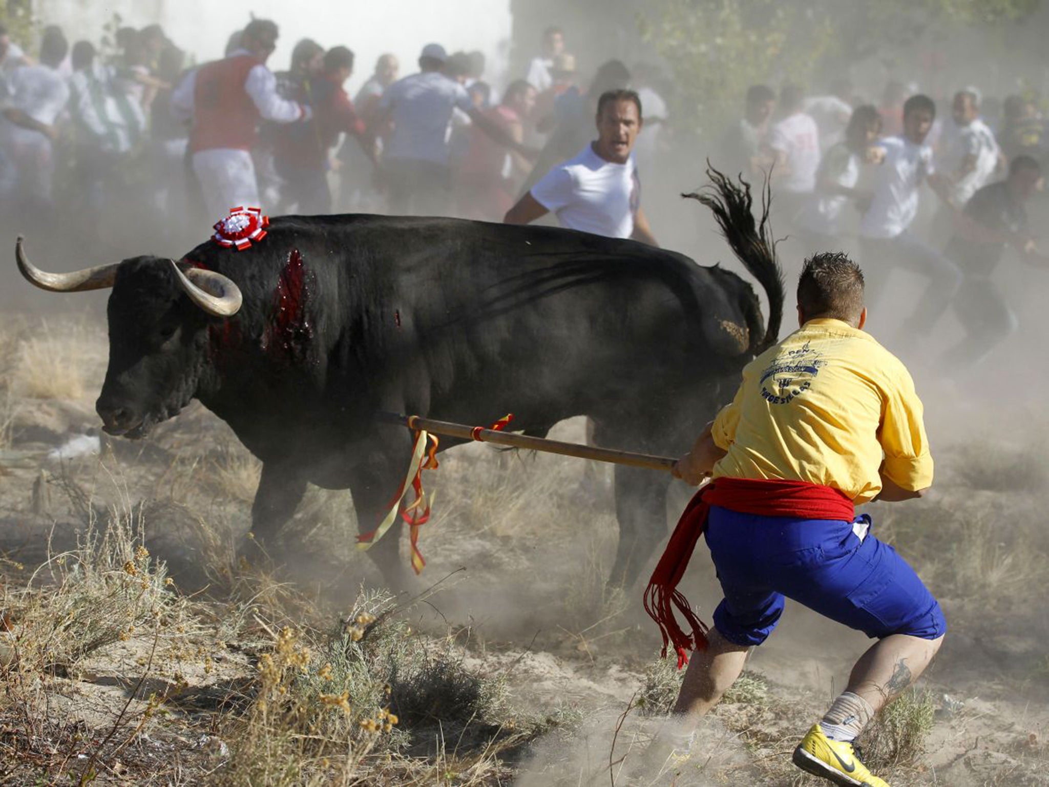 The Toro del la Vega event in Tordesillas has its roots, reputedly, in the 15th century